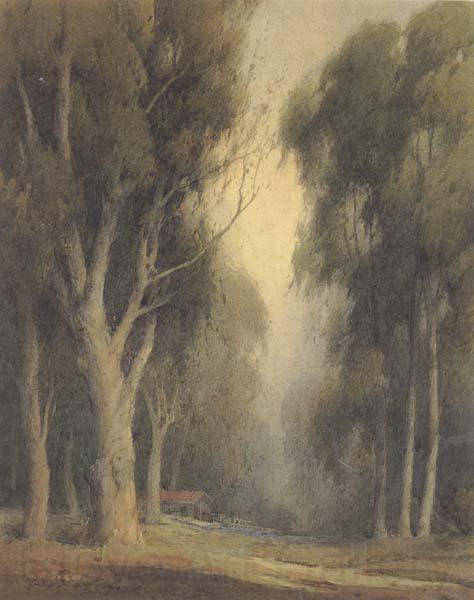 unknow artist Eucalyptus Trees,Burlingame Norge oil painting art